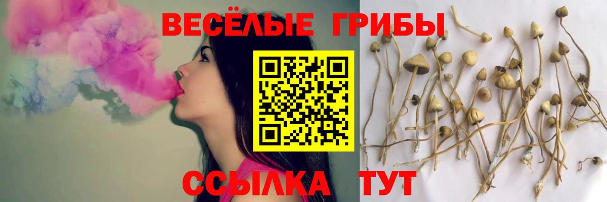 Шатура  Псилоцибиновые грибы ЛСД  Вход с VPN 